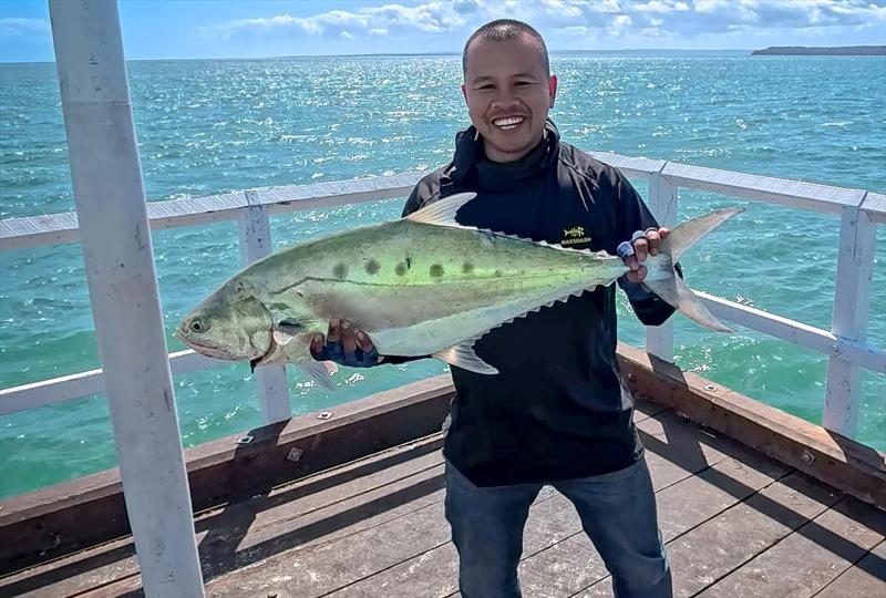 Matthew was excited to catch this 94cm queenie from Urangan Pier last week - photo © Fisho's Tackle World Hervey Bay