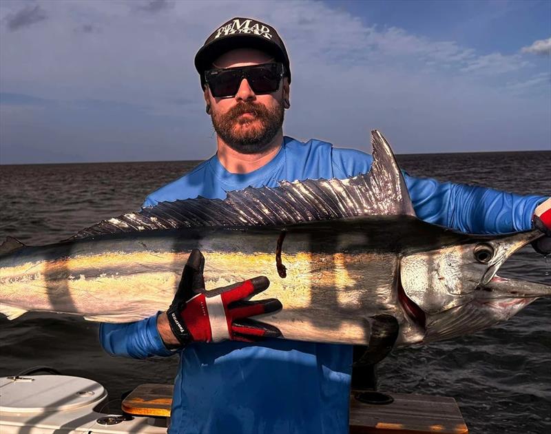 Mitch with a juvie Hervey Bay black pretending to be a stripey - photo © Fisho's Tackle World Hervey Bay