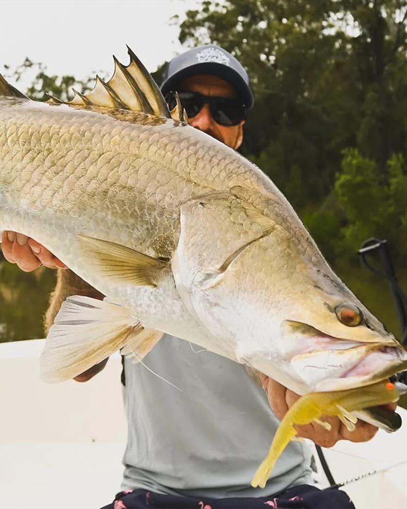 Brett caught this fine salty on a Daiwa Baitjunkie prawn - photo © Fisho's Tackle World Hervey Bay