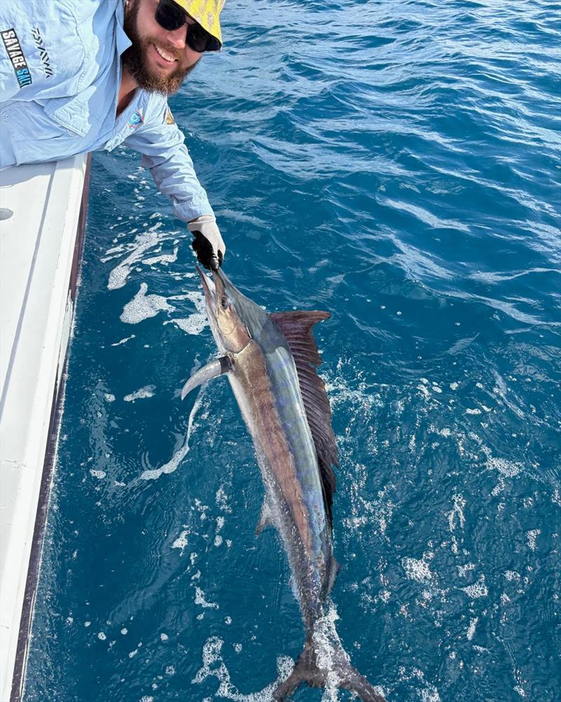 Mick and crew found a feisty little black up the island last week - photo © Fisho's Tackle World Hervey Bay