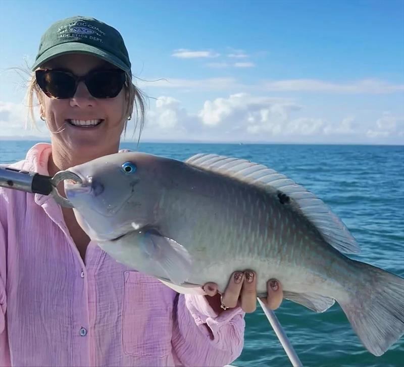 Black-spot tuskfish, or blueys, are one the hardest pulling and dirtiest fighters in our waters - photo © Fisho's Tackle World Hervey Bay