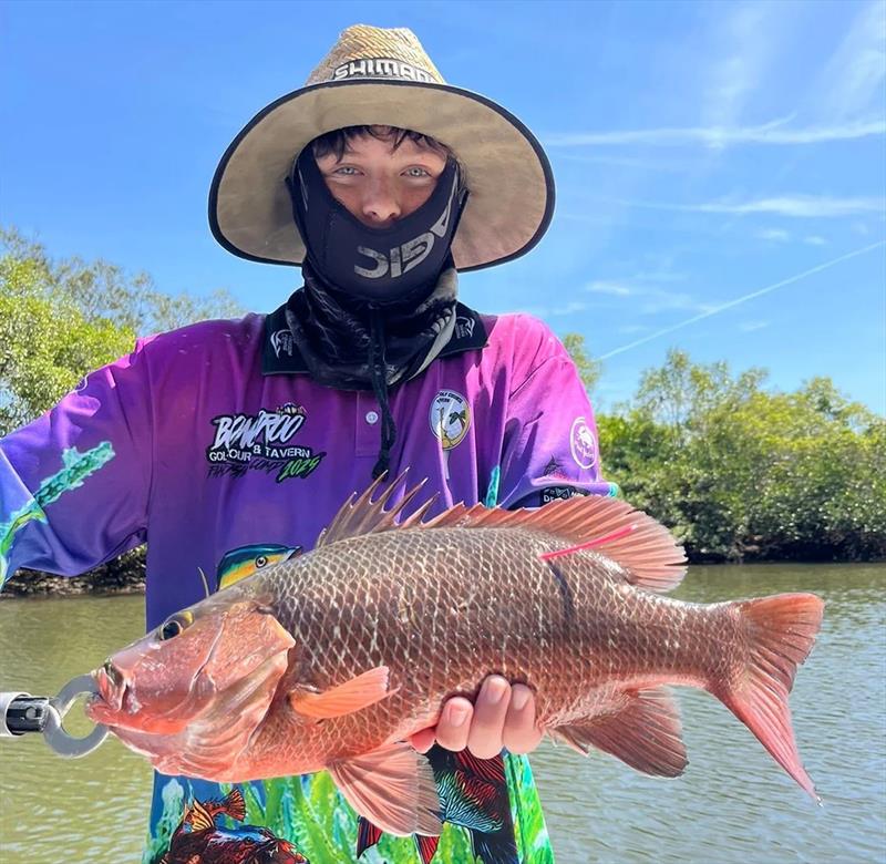 Mangrove jacks are on the chew bigtime this extraordinary heat. The coming storms will see them go next level - photo © Fisho's Tackle World Hervey Bay