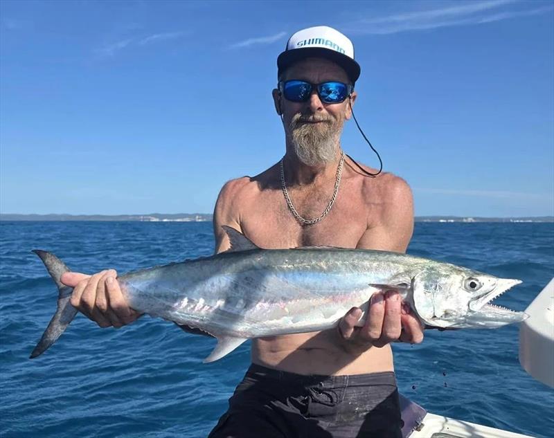There is plenty of schoolies in Hervey Bay waters at present. Fish averaging 60-70cm can be found almost everywhere - photo © Fisho's Tackle World Hervey Bay