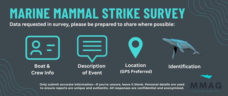 How you can take action to protect marine biodiversity photo copyright Marine Mammal Advisory Group taken at  and featuring the Fishing boat class