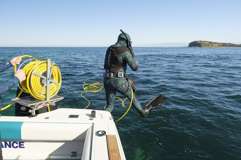 Diver heading into the water photo copyright David Anderson Photography.www.dsaphoto.com taken at  and featuring the Fishing boat class