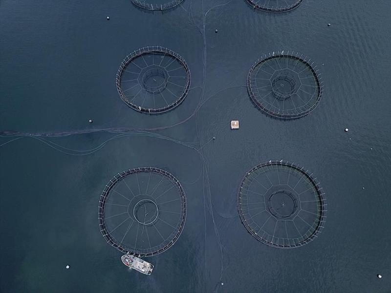 Recreational Fishing Advice - Florfenicol photo copyright Recreational Fishing News taken at  and featuring the Fishing boat class