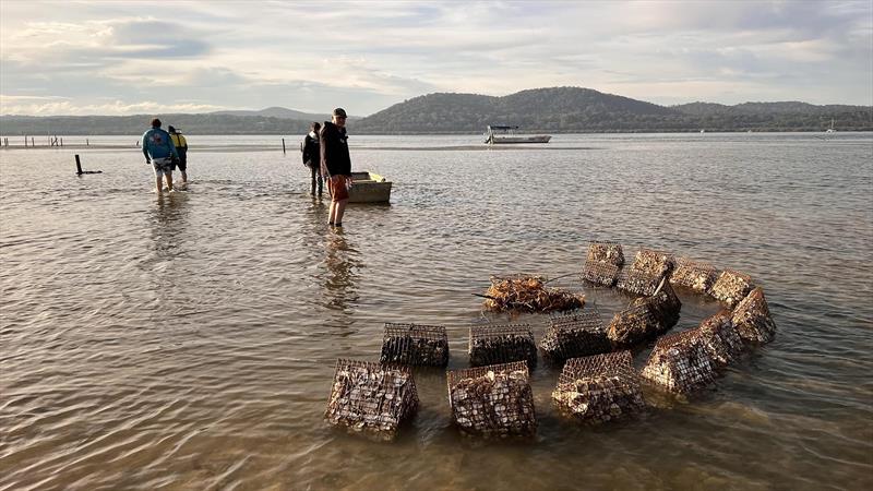 OzFish oyster baskets photo copyright Victorian Fisheries Authority taken at  and featuring the Fishing boat class