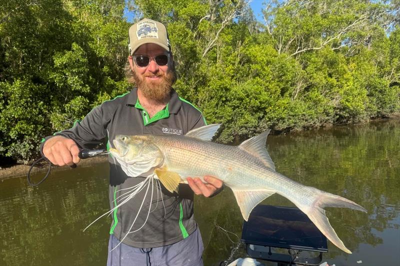 Threadies such as this one of Brock's can be found in our local rivers and down the straits photo copyright Fisho's Tackle World Hervey Bay taken at  and featuring the Fishing boat class