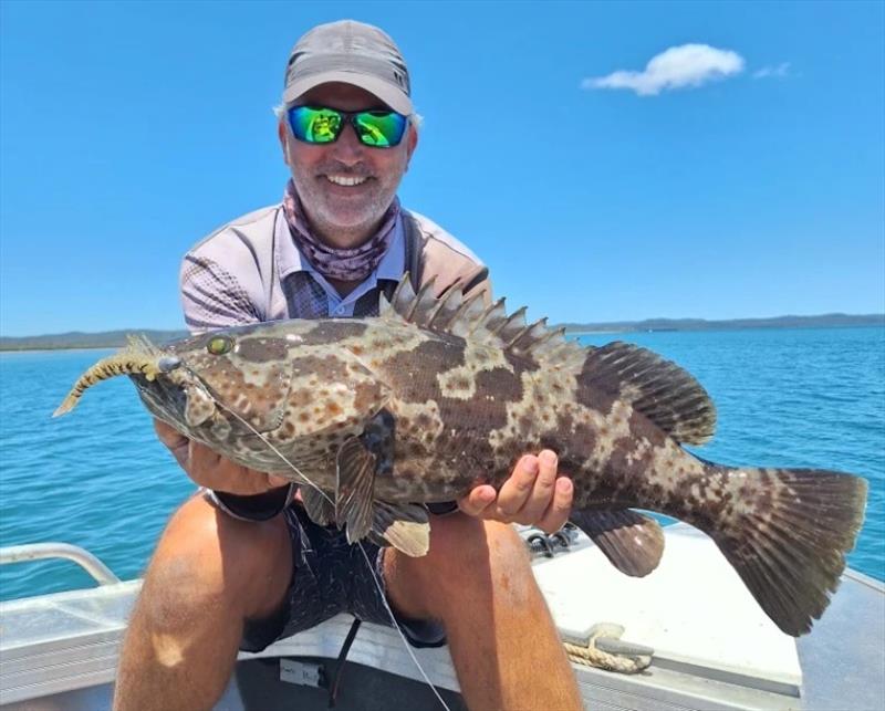 Tony caught and released quite a few estuary cod caught jigging Live Shrimp softies photo copyright Fisho's Tackle World Hervey Bay taken at  and featuring the Fishing boat class