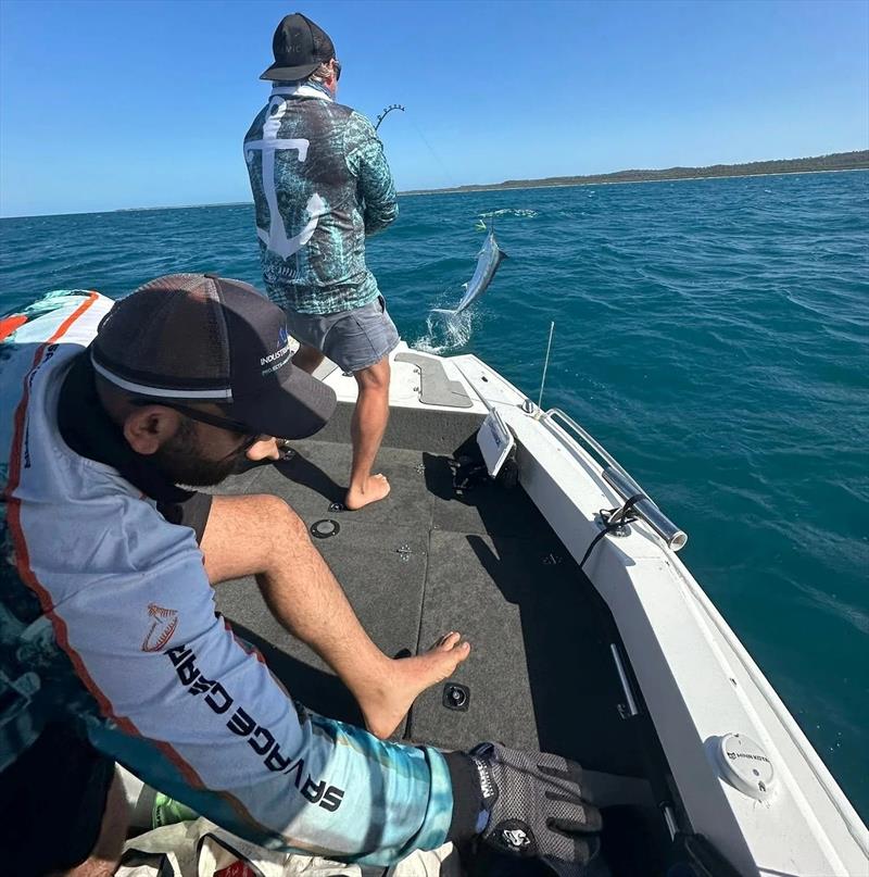A baby black getting some air boat-side prior to capture and release. Chasing billies up Rooneys way will be popular this weekend photo copyright Fisho's Tackle World Hervey Bay taken at  and featuring the Fishing boat class