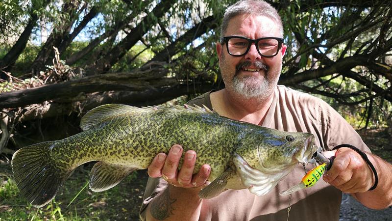 Murray cod - photo © Trellys