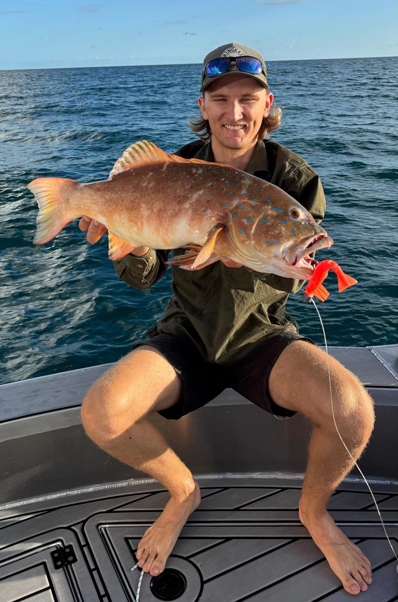 Lochie caught a couple of bay trout on the new coral trout-coloured Samaki Live Shrimp - photo © Fisho's Tackle World Hervey Bay
