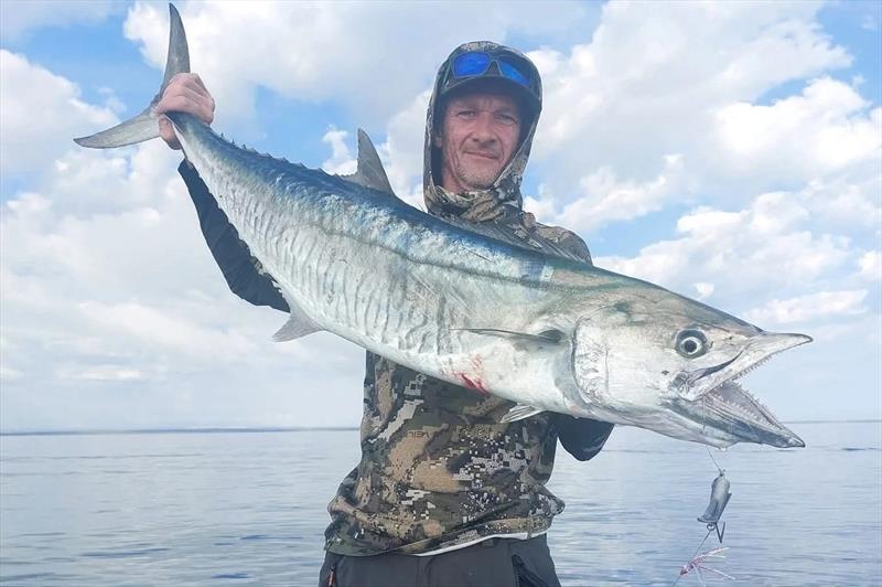 Spanish mackerel are suckers for trolled Reaper Rigs. You won't even have to drive far to find big ones at present photo copyright Fisho's Tackle World Hervey Bay taken at  and featuring the Fishing boat class