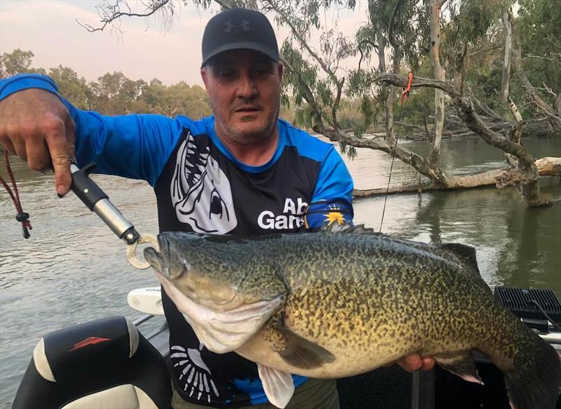 Murray cod photo copyright Trellys taken at  and featuring the Fishing boat class