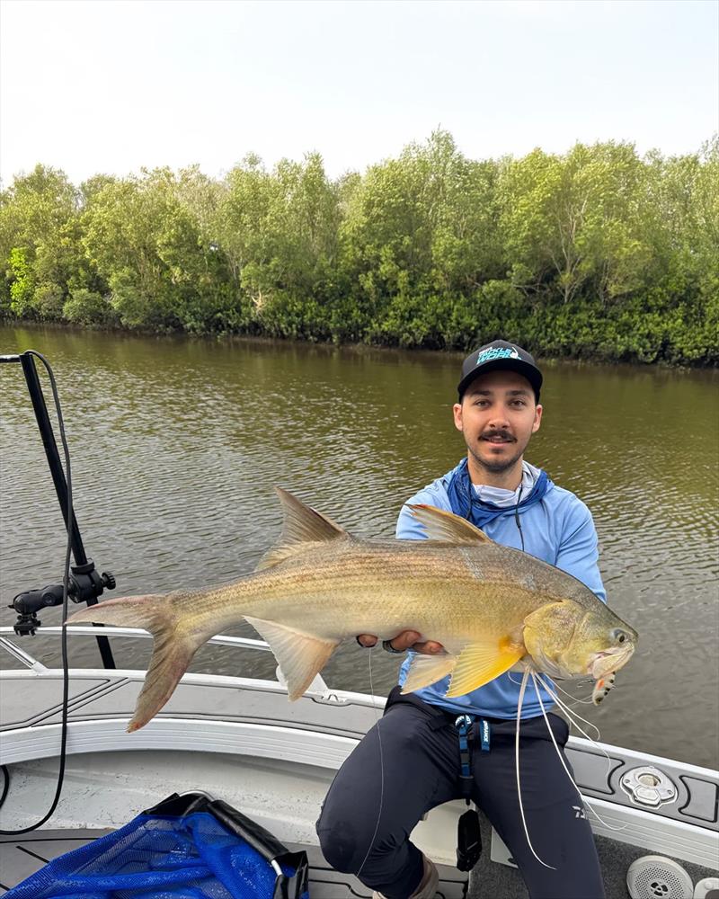 Dane used a Zerek Fish Trap to snare this fine thready from the Burrum system photo copyright Fisho's Tackle World Hervey Bay taken at  and featuring the Fishing boat class