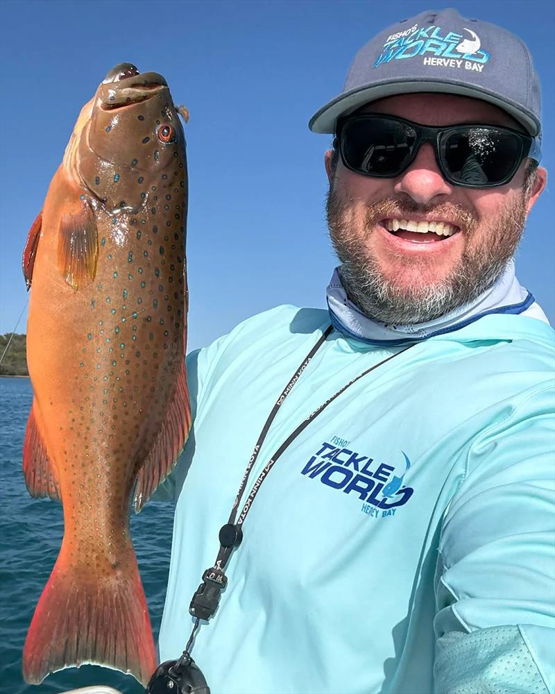 Inshore bar-cheeks like this one of Stuart's will be on the chew this weekend. Try the deeper water with softies or live baits - photo © Fisho's Tackle World Hervey Bay 