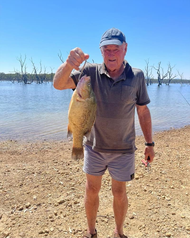 Yellowbelly - photo © Trellys