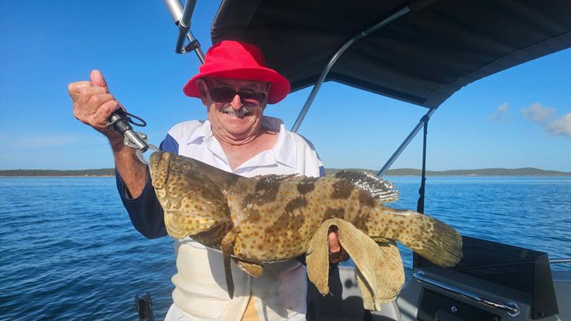 Eric was very happy with his latest estuary cod capture. Trollers, live baiters and those jigging prawn lures are catching plenty this summer - photo © Fisho's Tackle World Hervey Bay