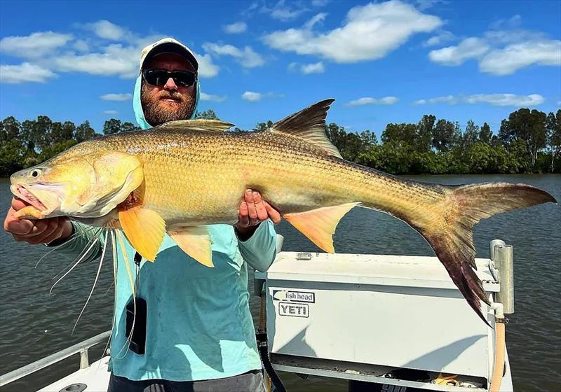 Cameron with a sample of the quality threadfin salmon you can catch in our rivers or down the straits at present - photo © Fisho's Tackle World Hervey Bay