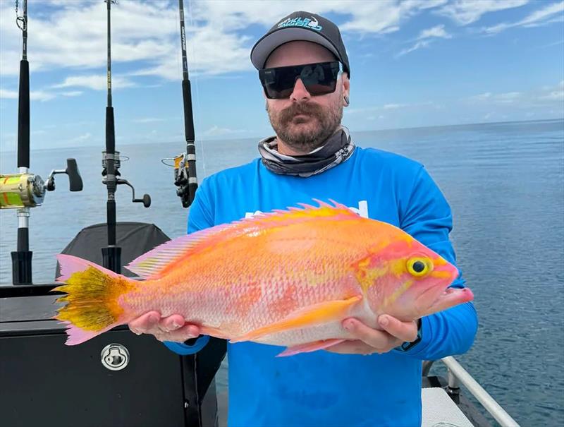 Many tasty 'ooglies' can be caught deep-dropping the depths. Fisheries 2.0 app might help you identify the less common models - photo © Fisho's Tackle World Hervey Bay