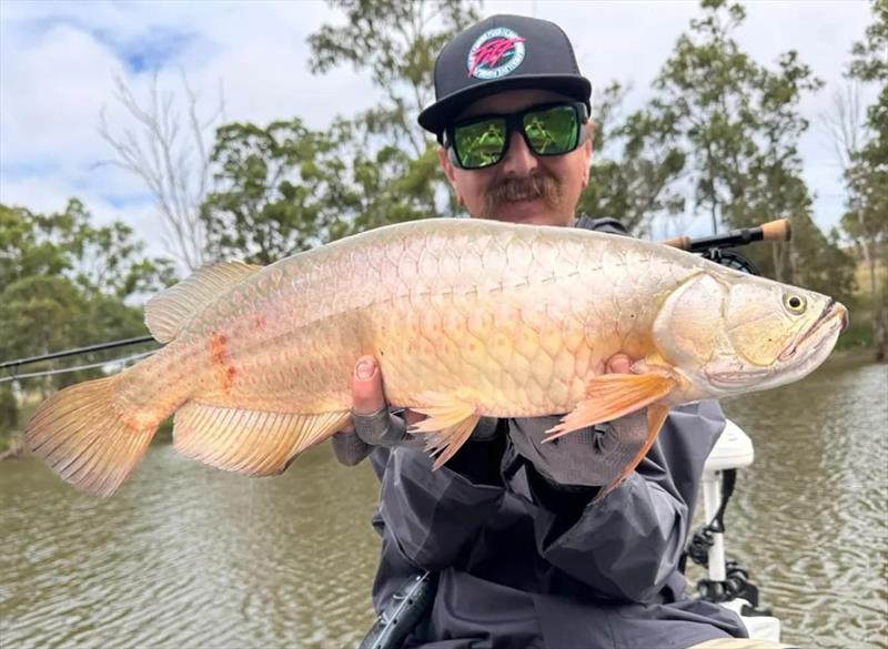 Josh also enjoyed a successful Tag-A-Toga comp at Lake Boondooma. 29 teams caught a massive 215 'toga for the weekend photo copyright Fisho's Tackle World Hervey Bay taken at  and featuring the Fishing boat class