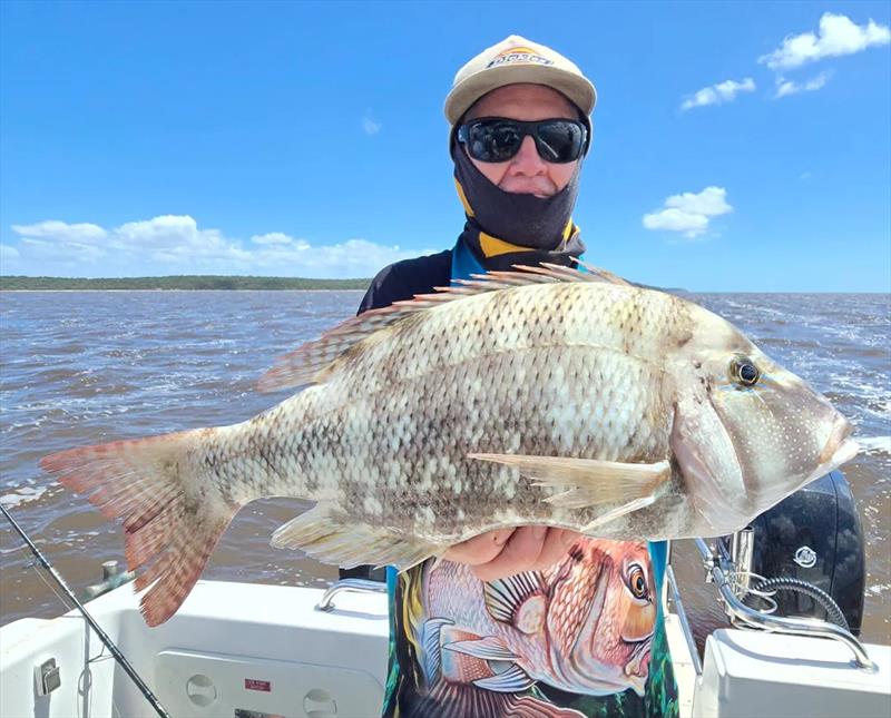 Hot Reels Fishing Charter clients were put onto inshore sweeties beneath the flood waters spewing from the Mary photo copyright Fisho's Tackle World Hervey Bay taken at  and featuring the Fishing boat class