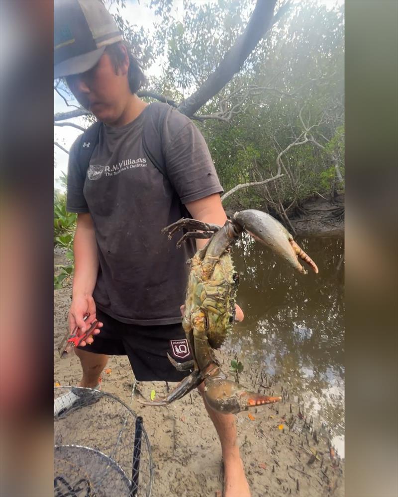 Addi pulled muddies from their backwater lairs pre-flood. They are out in the open and swimming right now though - photo © Fisho's Tackle World Hervey Bay