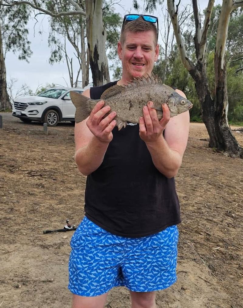 Trelly's Weekly Fishing Report - March 27, 2026 photo copyright Trelly's taken at  and featuring the Fishing boat class