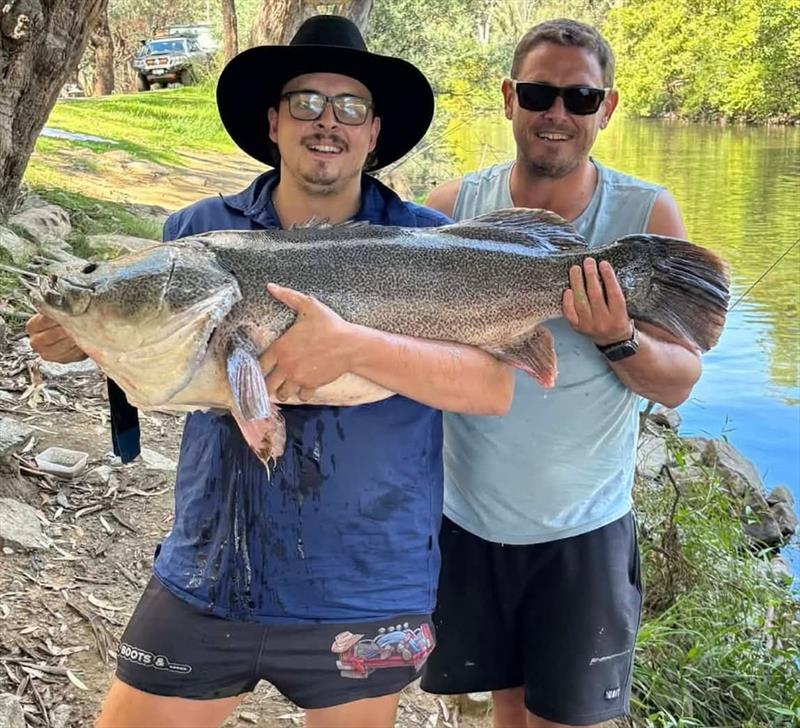 Trelly's Weekly Fishing Report - March 27, 2026 photo copyright Trelly's taken at  and featuring the Fishing boat class