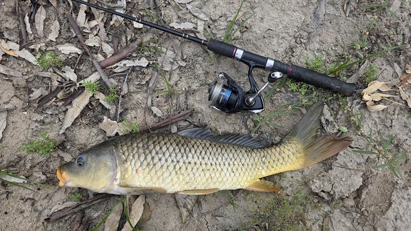 Trelly's Weekly Fishing Report - March 27, 2026 photo copyright Trelly's taken at  and featuring the Fishing boat class