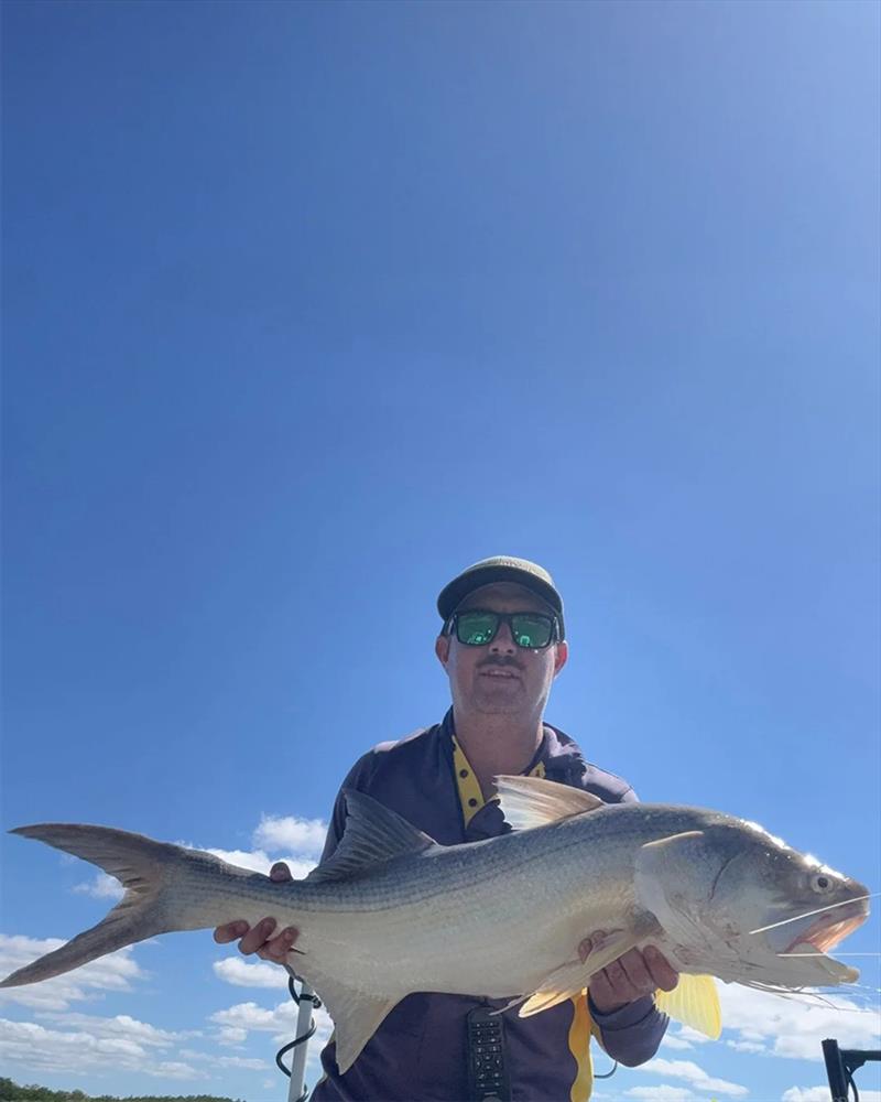 Catching threadies like this beauty of Deej's is an easy affair right now. They are widespread, on the move and feeding hard - photo © Fisho's Tackle World Hervey Bay
