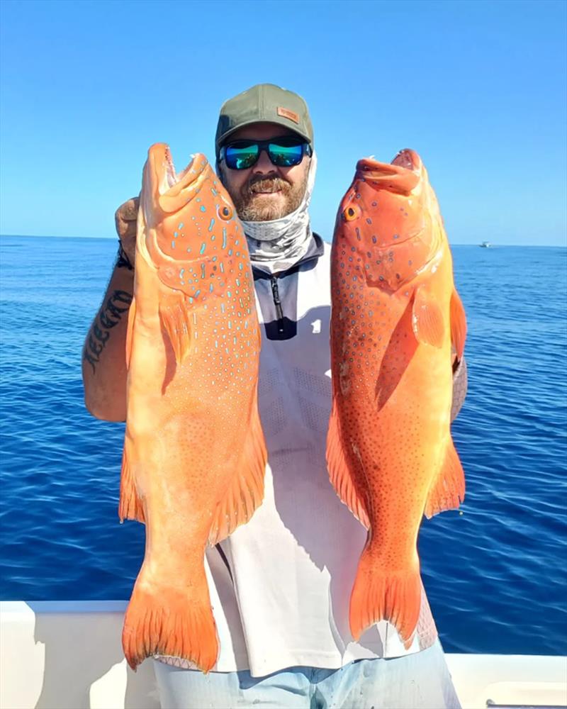 Nathan pulled this brace of bar cheeks from a rare piece of sharkless ground in the northern bay - photo © Fisho's Tackle World Hervey Bay