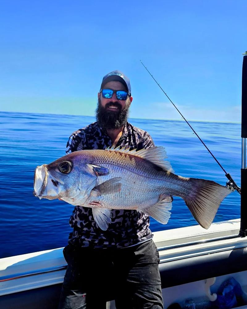 Adrian hauled ripper pearlies like this from the depths on a recent offshore mission - photo © Fisho's Tackle World Hervey Bay