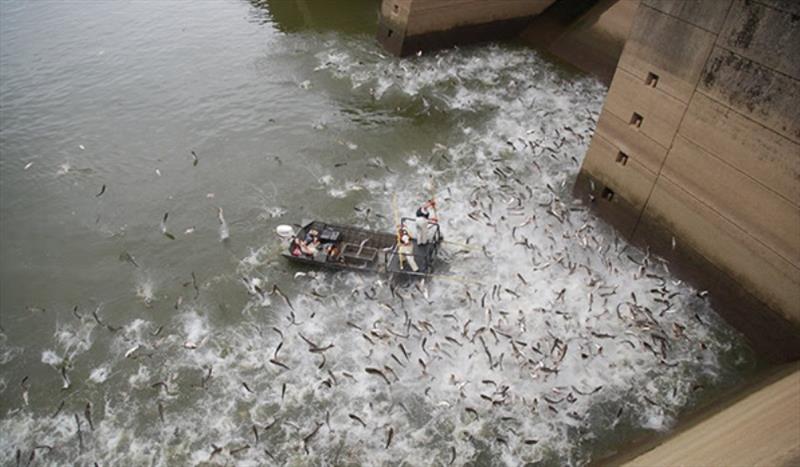 Tell congress to stop the spread of aquatic invasive species photo copyright American Sportfishing Association taken at  and featuring the Fishing boat class