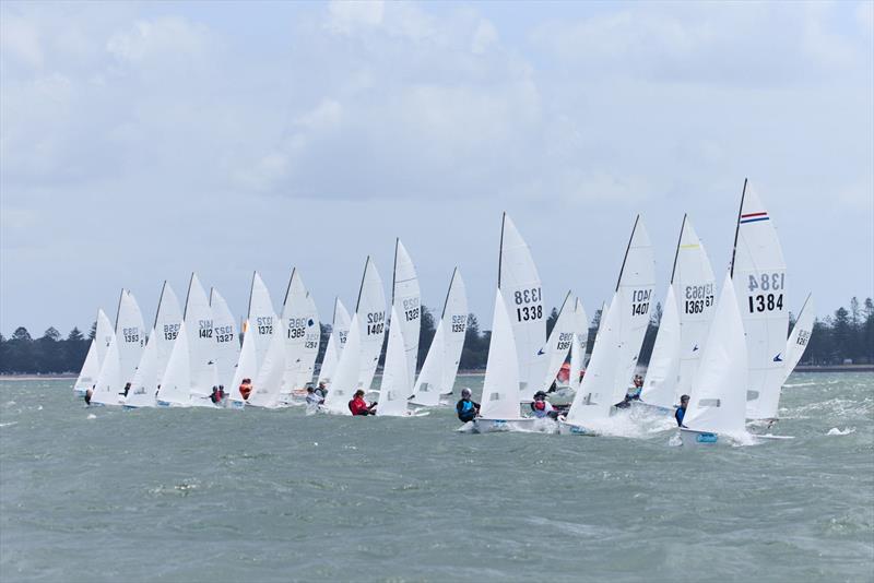 2025 Allen Flying 11 National Championships day 5 start photo copyright Mark Bramley taken at St George Sailing Club and featuring the Flying 11 class