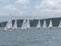 Flying 15 Australian Championship at Lake Macquarie © June Jelick