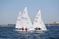 2025 Flying Fifteen Australian Nationals at Davey's Bay YC © Jacob Liebenberg