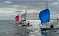 2026 Flying Fifteen Championship of Ireland at Carrickfergus Sailing Club &copy; Steve Atkinson