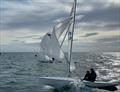 2026 Flying Fifteen Championship of Ireland at Carrickfergus Sailing Club &copy; Steve Atkinson