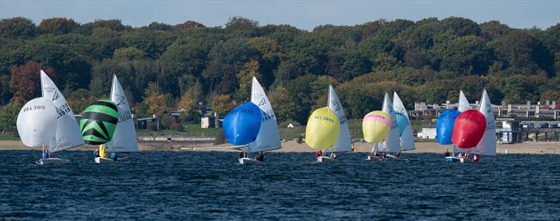 2022 Flying Fifteen Belgian Championship - photo © Alain Destatte