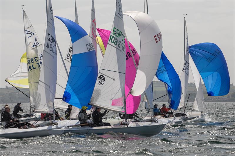 Flying Fifteen British Isles Championships 2024 at Strangford Lough photo copyright Simon McIlwaine / www.wavelengthimage.com taken at Strangford Lough Yacht Club and featuring the Flying Fifteen class