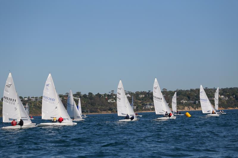 2025 Flying Fifteen Australian Nationals at Davey's Bay YC - photo © Jacob Liebenberg