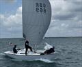Gybe'n wins the 2025 Folkboat Nationals at Lymington © Folkboat class