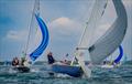 Taittinger RSYC Regatta 2024 © Tim Jeffreys Photography