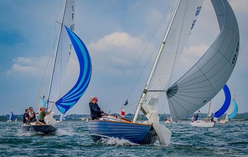Taittinger RSYC Regatta 2024 photo copyright Tim Jeffreys Photography taken at Royal Solent Yacht Club and featuring the Folkboat class