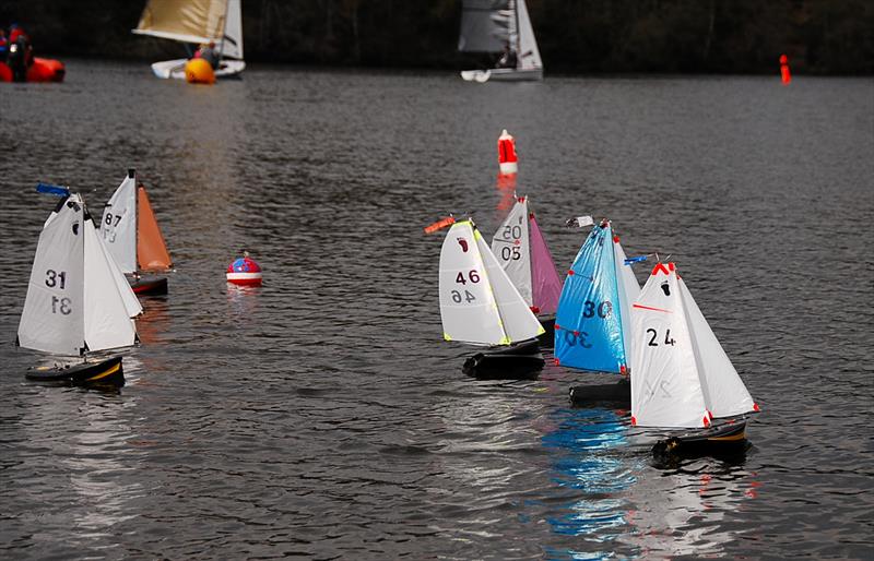 Local sailor Graham Whitehead 24 off with the best start (Larks in the background) - Videlo Globe (Footy class at Frensham) - photo © Roger Stollery