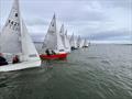 RNIYC GP14 Spring Series Day 5 © Zac Dalzell