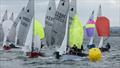 GP14 Championship of Ireland at Newtownards Sailing Club © Bob Given