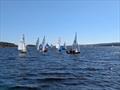 GP 14 Northern and Scottish Bell Open at Derwent Reservoir © Al Conn & Bob Vaughan