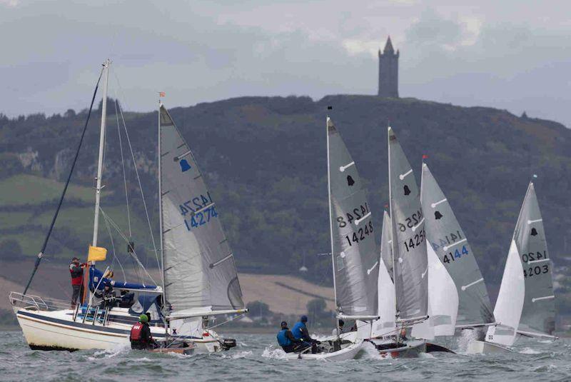 GP14 Hot Toddy at Newtownards SC photo copyright David Corkrill taken at Newtownards Sailing Club and featuring the GP14 class